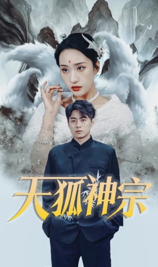 天狐神宗天狐九針