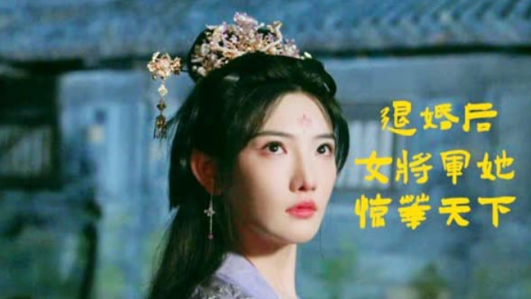 退婚后女將軍她驚華天下