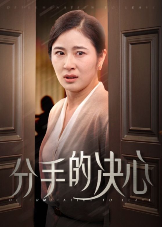 分手的快樂(lè)-何金玉、趙子高-都市情感-短劇