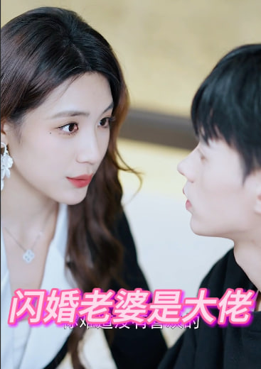 閃婚老婆是大佬