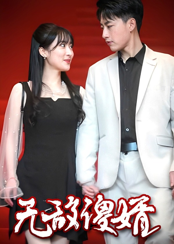 無敵傻婿
