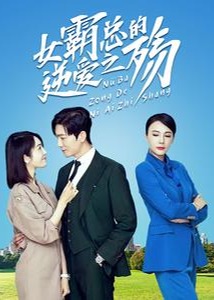 女霸總的逆愛之殤