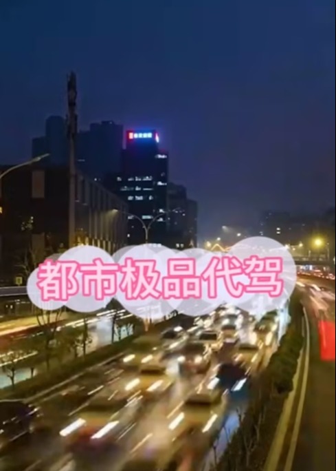 都市極品代駕