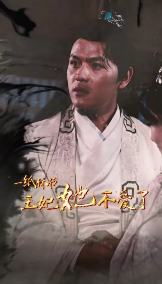 一紙休書，王妃她不愛了