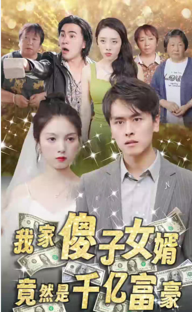 我的傻子女婿是千億富豪