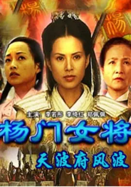 楊門(mén)女將之天波府風(fēng)波