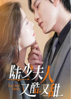 前妻攻略陸少偏偏寵愛我、陸少夫人又酷又甜