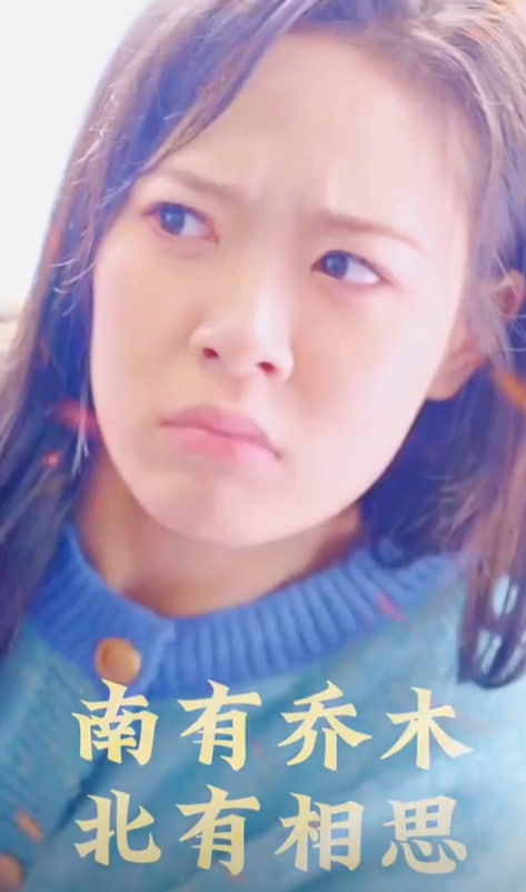 南有喬木北有相思