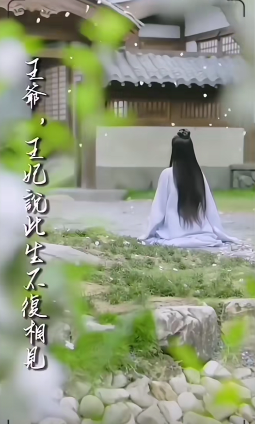王爺，王妃說此生不復相見