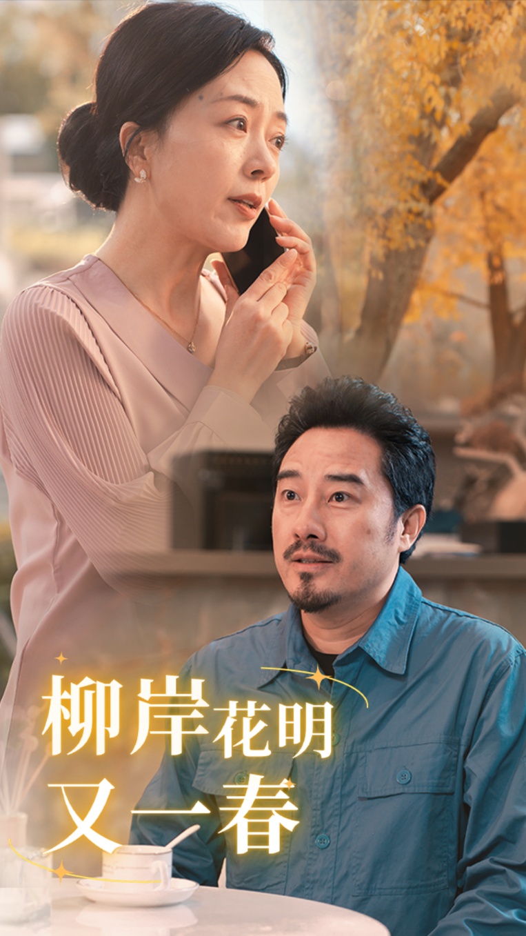 柳暗花明又一春-林芳、張宗南-都市情感