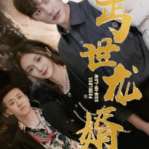 丐世龍婿