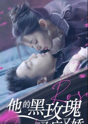 他的黑玫瑰又瘋又嬌