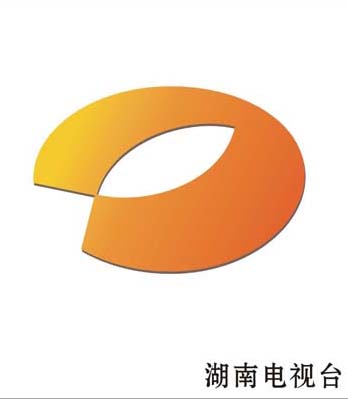 2010金芒果粉絲節(jié)