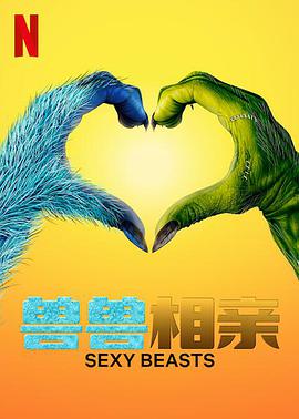 性感野獸第一季2024