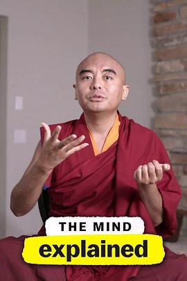 頭腦解密第二季