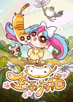 生而為貓