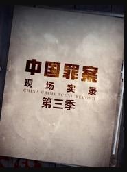 罪案現(xiàn)場實錄第三季