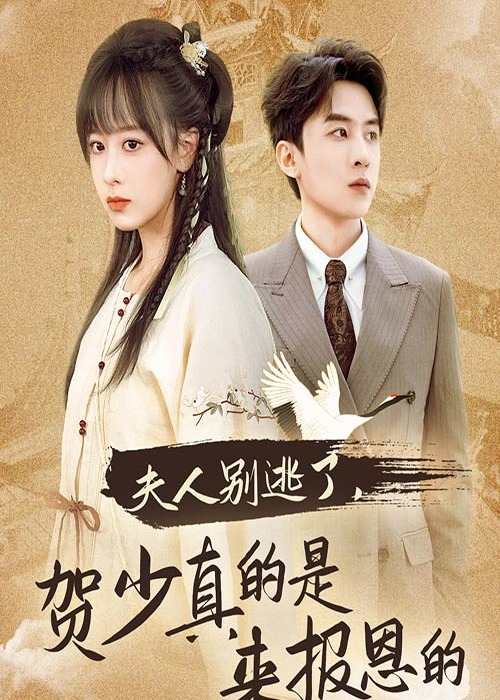 夫人別逃賀少真的是來報(bào)恩的-都市言情