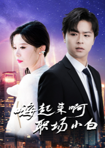 嗨起來啊職場小白-都市情感