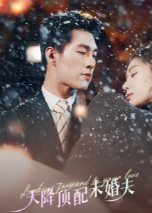 天降頂配未婚夫-現(xiàn)代甜蜜