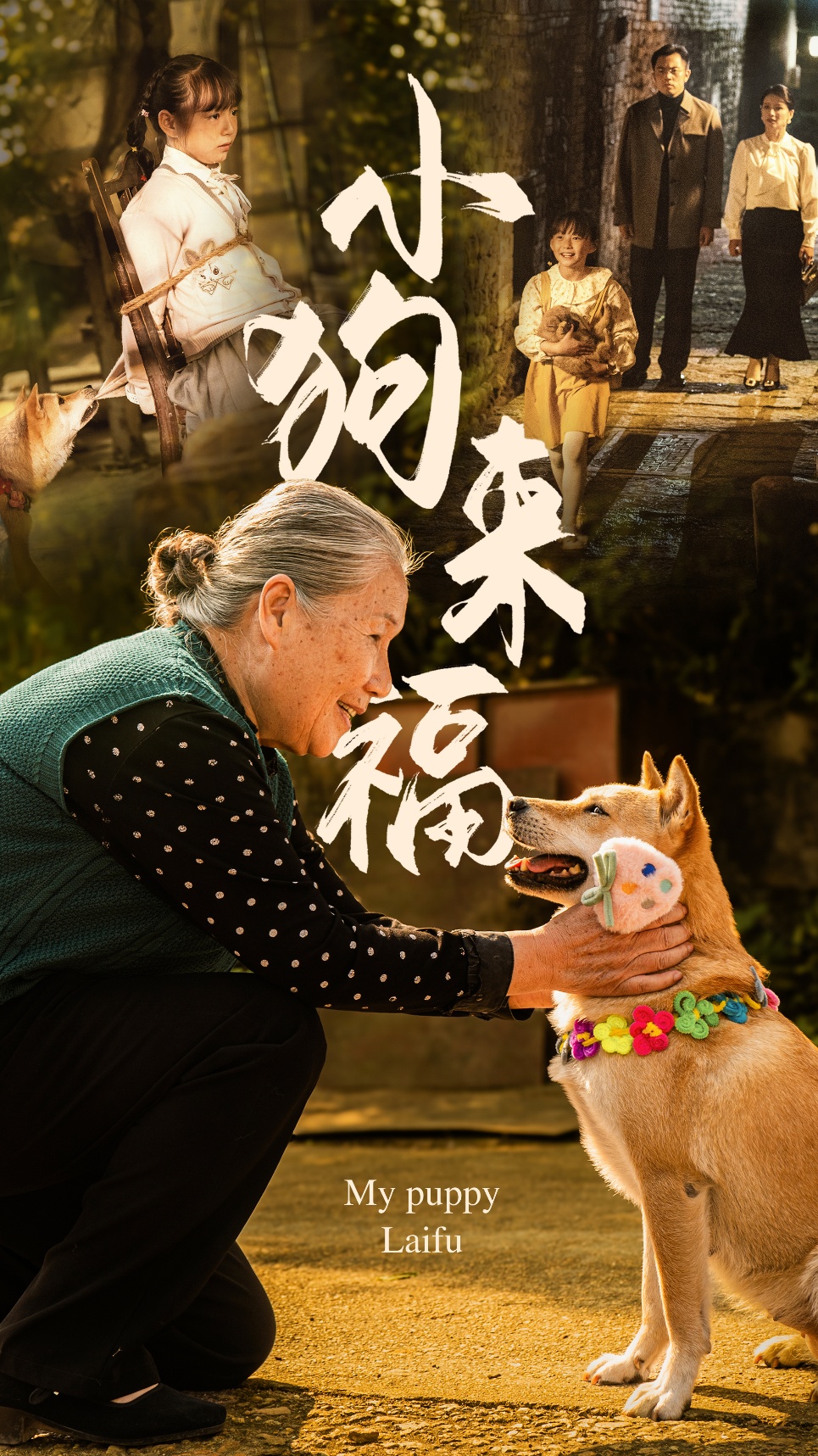 小狗來福-家庭情感