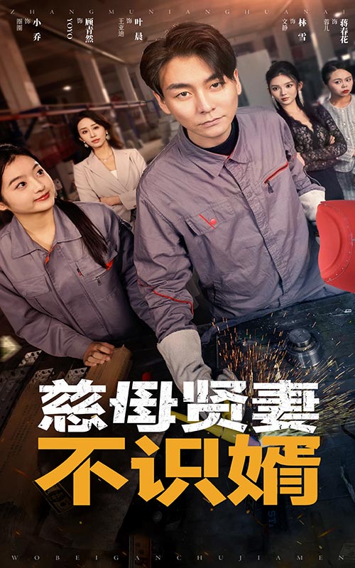 慈母賢妻不識(shí)婿-家庭情感