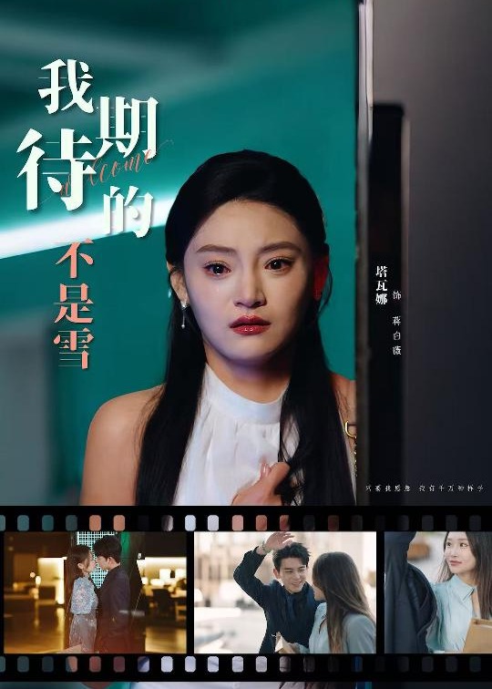 我期待的不是雪-現(xiàn)代言情