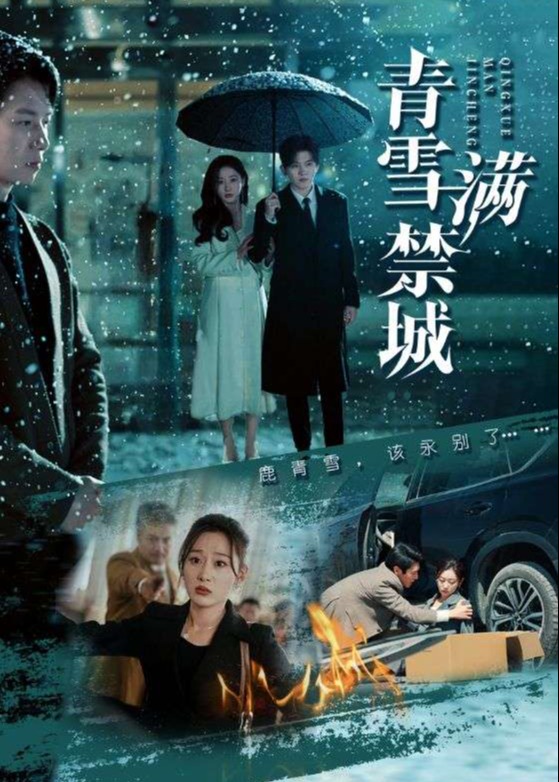 青雪滿禁城-現(xiàn)代言情