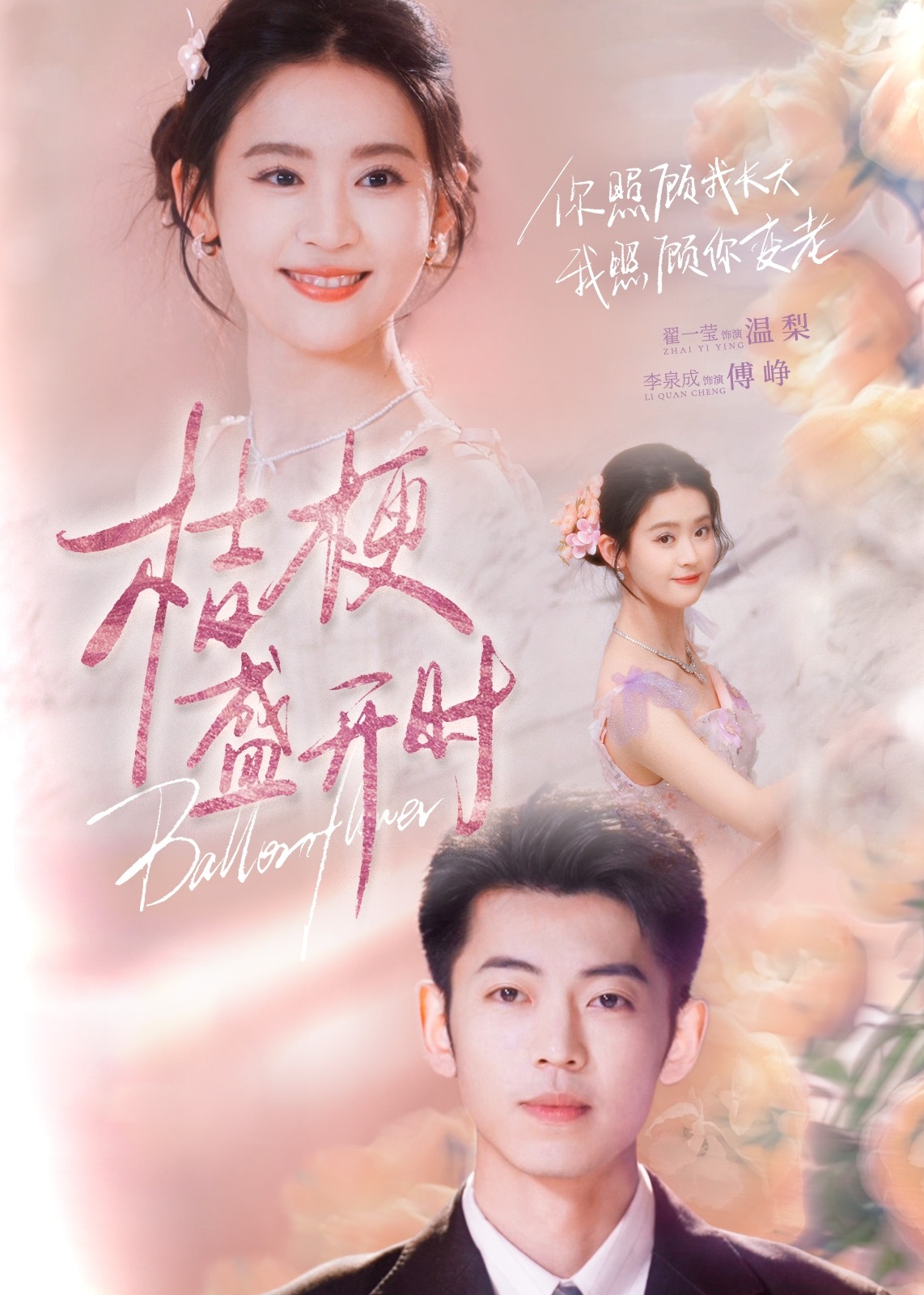 桔梗盛開(kāi)時(shí)-現(xiàn)代甜蜜