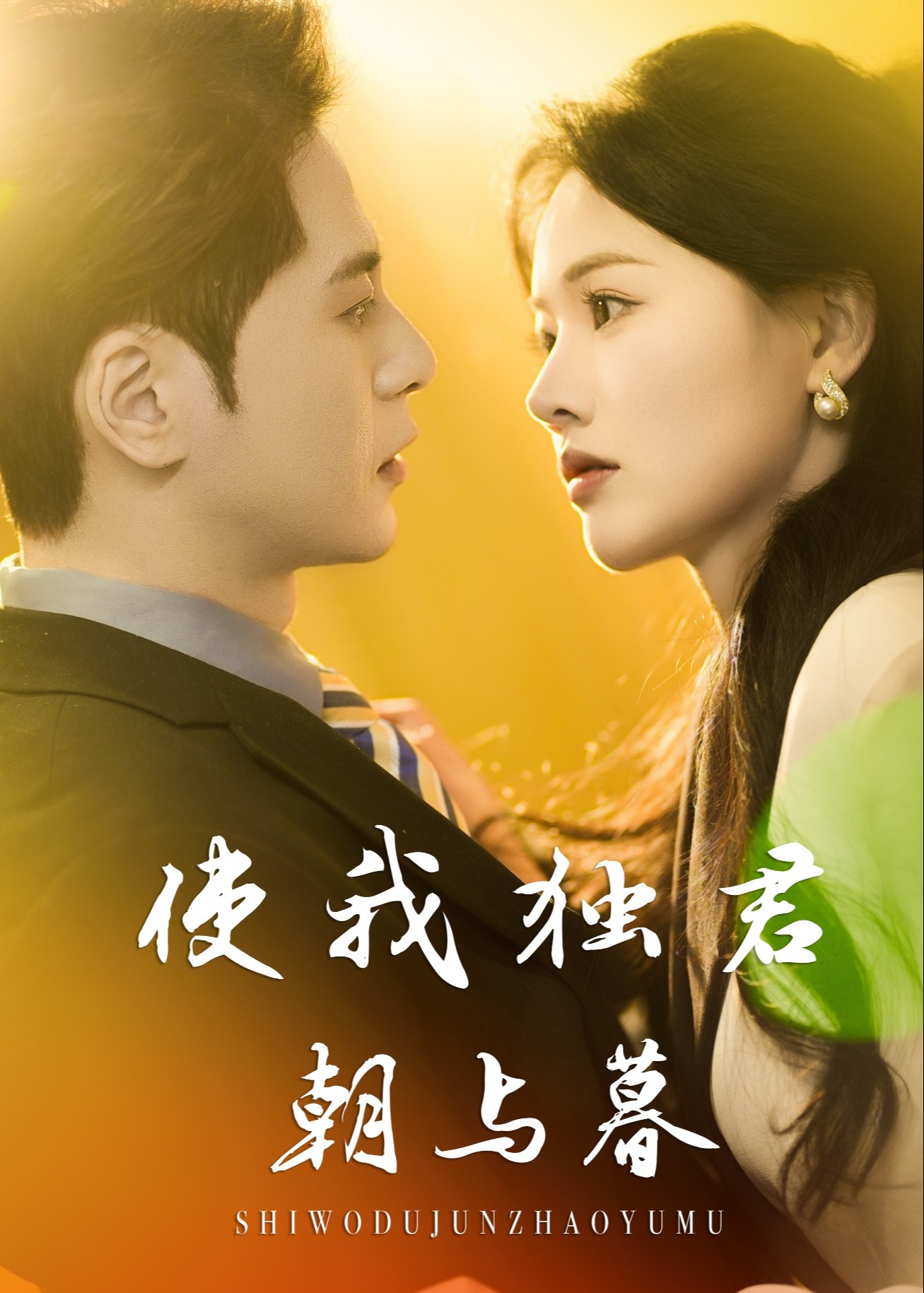 使我獨(dú)君朝與暮-現(xiàn)代言情
