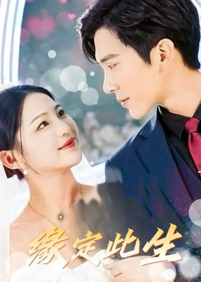 緣定此生-現(xiàn)代甜蜜