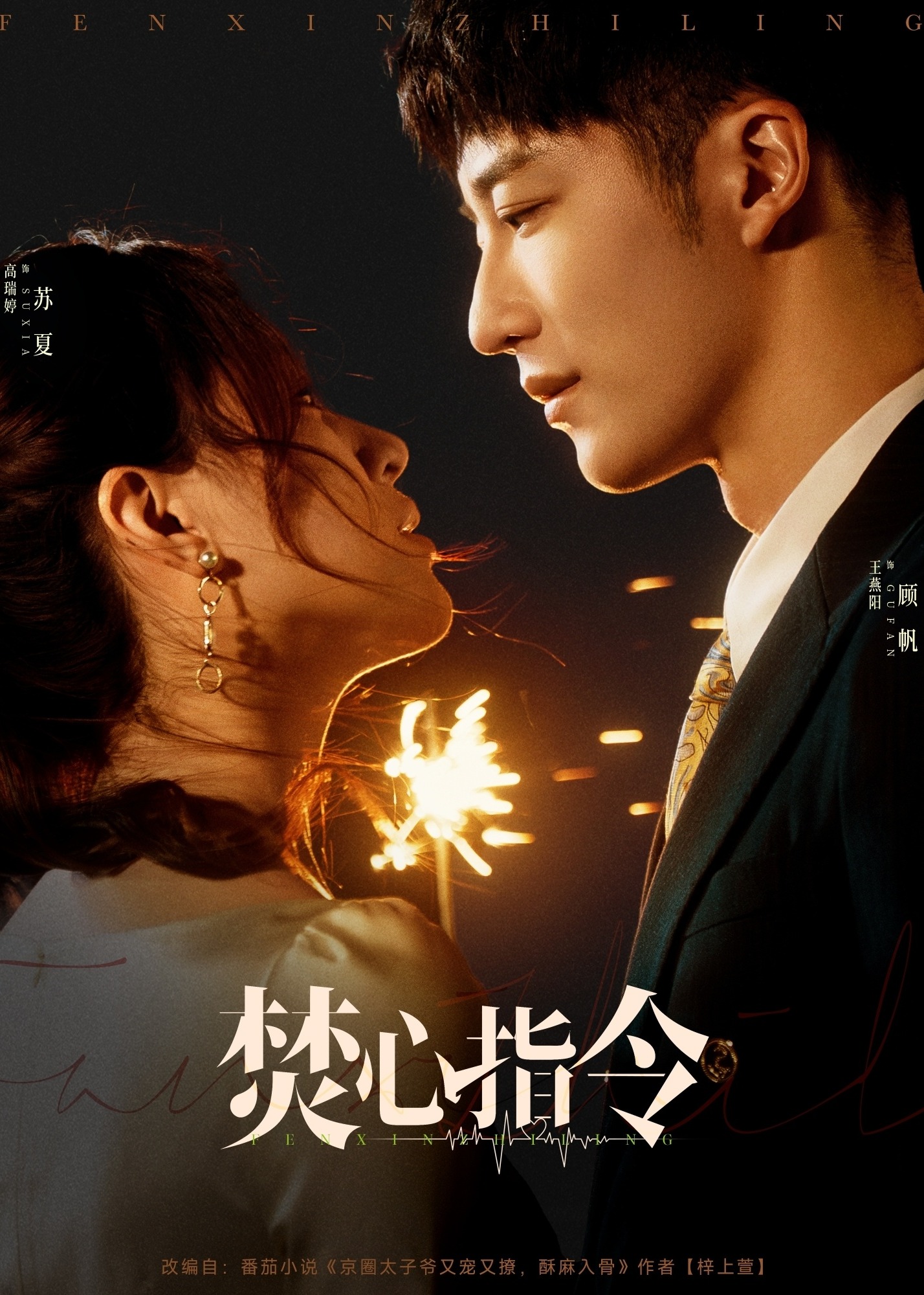 焚心指令-現(xiàn)代言情
