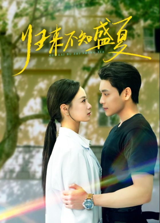 歸來不知盛夏-現(xiàn)代言情