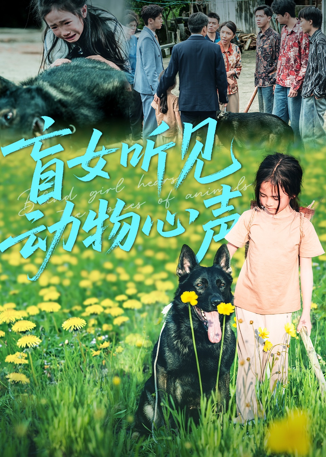 盲女聽見動物心聲-現(xiàn)代甜蜜